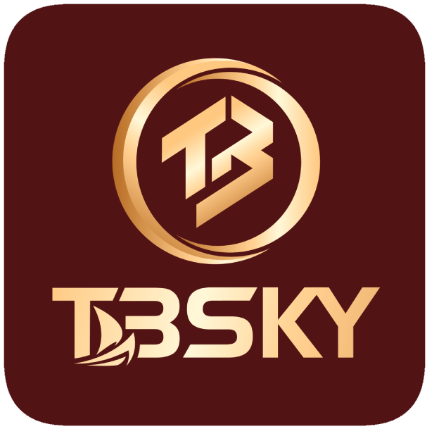 CÔNG TY CỔ PHẦN DỊCH VỤ PHẦN MỀM T3SKY